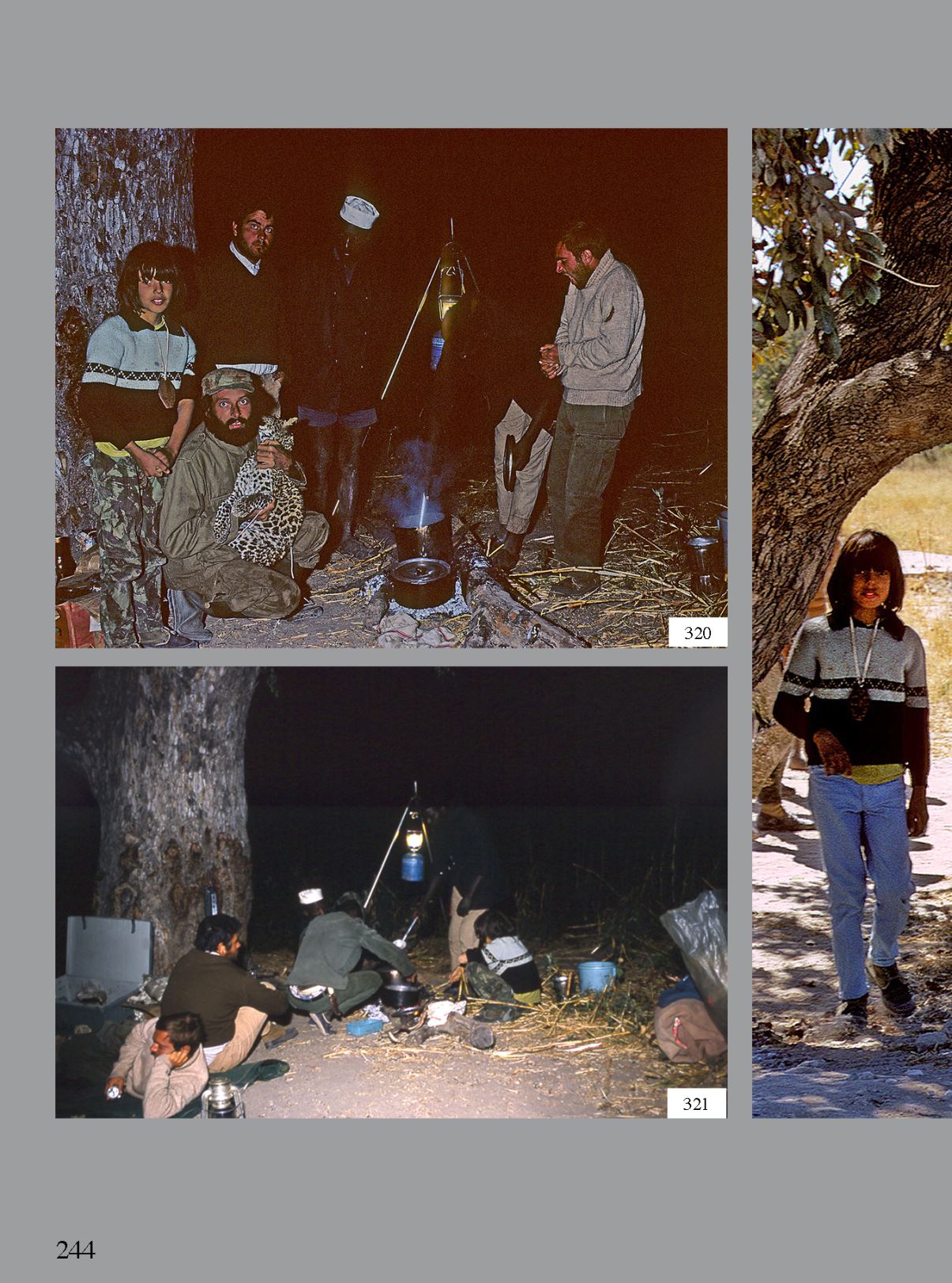 Page Background
