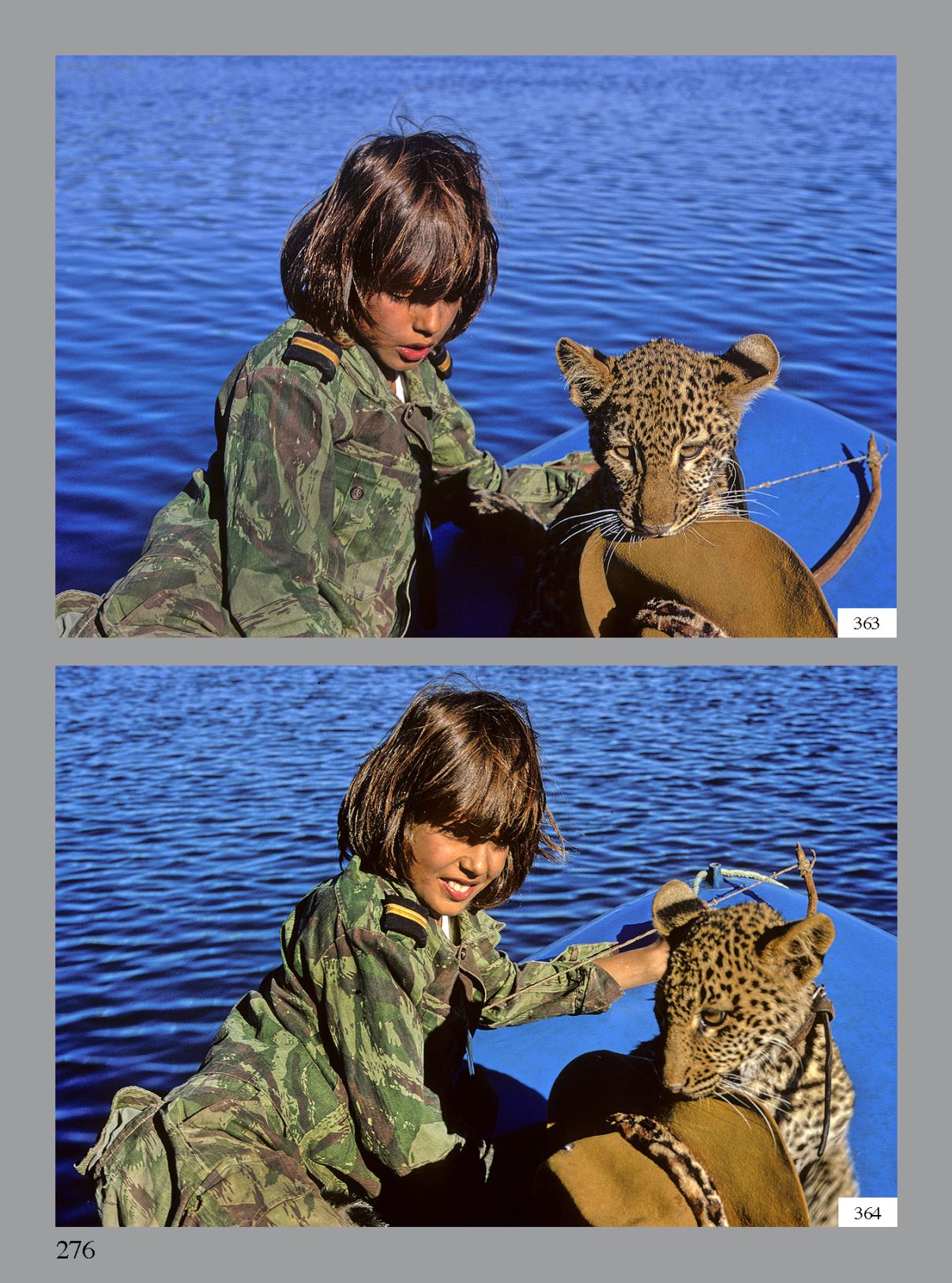 Page Background